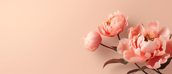 Minimalist single blooming Pink Peony flower with leaf on soft pink pastel colors background with space for text created with Generative AI Technology 
