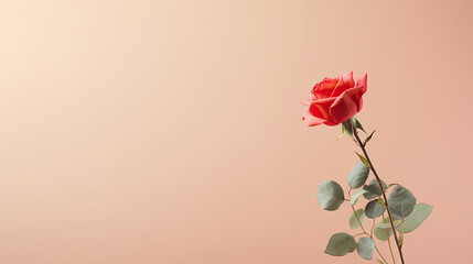 Minimalist single blooming Red Rose flower with leaf on soft pink pastel colors background with space for text created with Generative AI Technology