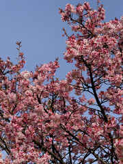 東京建築探訪　大手町～皇居あたり