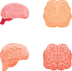 Human brain icons set cartoon vector. Left and right hemisphere of human brain. Physiology, neurobiology