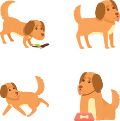 Cartoon dog icons set cartoon vector. Cute domestic dog. Human friend, home animal