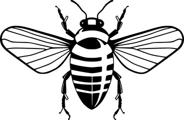 Cockroach - Black and White Isolated Icon - Vector illustration