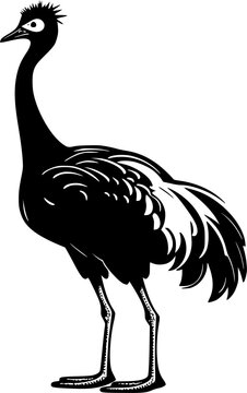 recommend clip art: Dodo | Minimalist and Simple Silhouette - Vector illustration