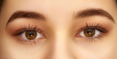 Close up view of beautiful brown female eyes. Perfect trendy eyebrow.