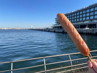 串付きフランクフルトソーセージ