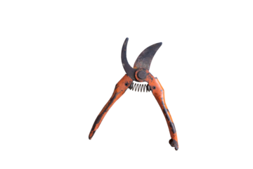 Isolated pliers on white background, metal and plastic tools for construction, repair, and gardening work