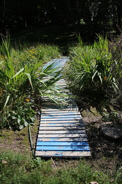 Old wooden boardwalk painted with a blue paint.