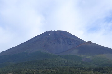 Fototapeta premium 富士山
