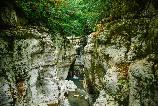 White Rock Canyon. jungle, mountain forest hiking. The Khosta River flows along the cliffs Sochi.