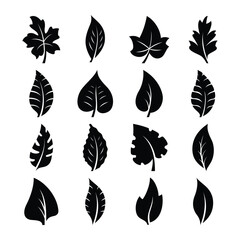 set of leaf silhouette vector

