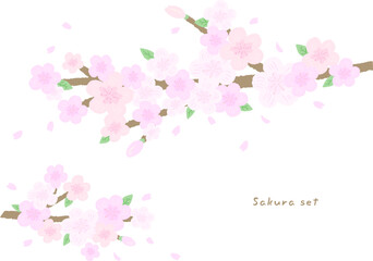 Pink cherry tree branches and sakura, fashionable hand drawn illustration /ピンクの桜の木の枝とさくら、おしゃれな手描きイラスト