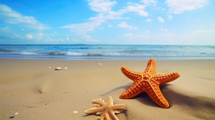 starfish on the beach