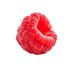  Delicious single raspberry over isolated white background