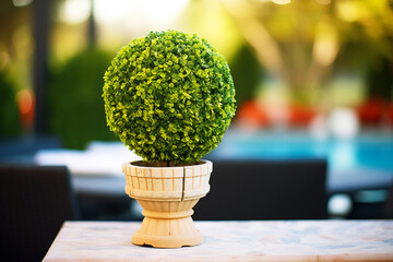 close-up of a faux boxwood topiary ball - obrazy, fototapety, plakaty