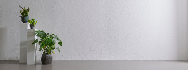 Green plant in the vase, grey stone wall background, interior room concept.