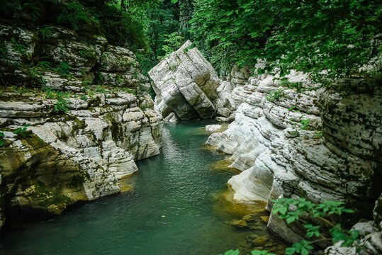 White Rock Canyon. jungle, mountain forest hiking. The Khosta River flows along the cliffs Sochi.