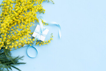 Mimosa yellow flowers on blue spring background, 8 march day background with copy space, mimose is...