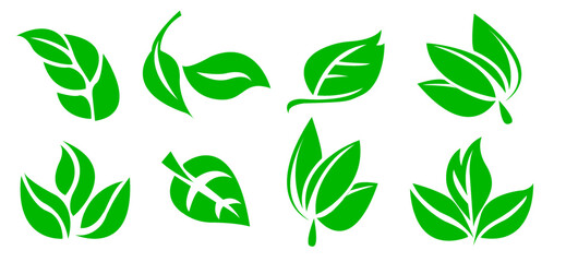 A set of green leaves on a white background, for logos, designs, for the symbolism of the green planet