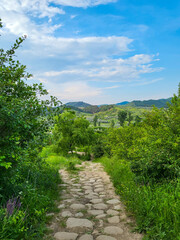 Fototapeta na wymiar Typical green landscape with trees and mountains under blue sky near Berca in Buzău County, Wallachia, Romania