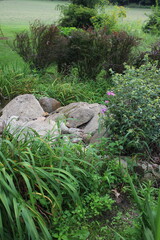 rock garden in the meadow