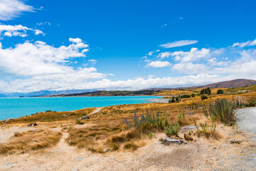 Fototapeta na wymiar ニュージーランドのテカポ湖 