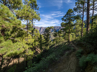 La Palma