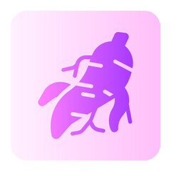 ginseng gradient icon