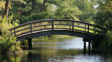 Fototapeta na wymiar Wooden bridge over tranquil water in greenery.
