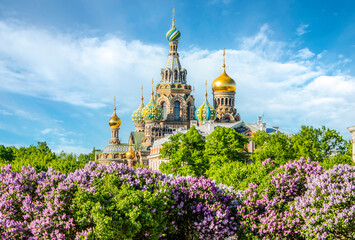 Fototapeta na wymiar Spring Petersburg. Cathedral of the Savior on Spilled Blood in Saint Petersburg, Russia