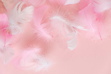 feathers abstract background. Background for design with soft colorfull feathers pattern. Soft...