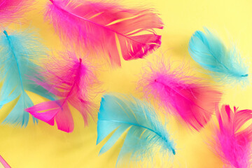 feathers abstract background. Background for design with soft colorfull feathers pattern. Soft...