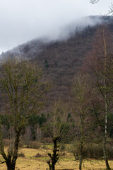 Brumes hivernales sur les pentes d'un des volcans de la Chaîne des Puys, Auvergne, France