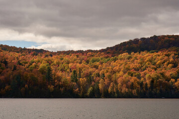 A ray of light over the forest near the lake in a cloudy day of autumn