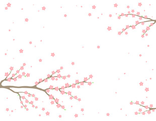 Cherry, apple, plum blossoms, fruit tree branches in bloom, pink spring flowers on transparent background, copy space. Flat style vector illustration. Design concept seasonal poster, banner, promotion