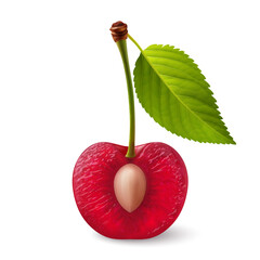 A single red cherry with a green leaf on its stem, cut in half with the pit exposed, illustration on a white background - 739966081