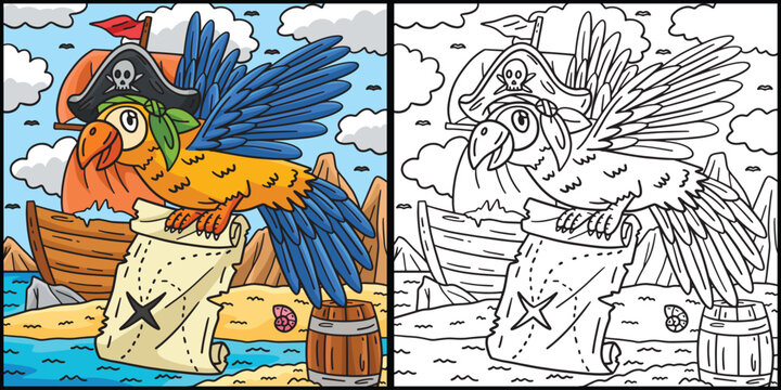 Pirate Parrot with a Map Coloring Illustration