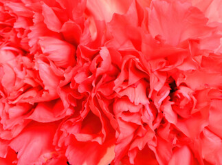 Outdoor Floral Arrangement