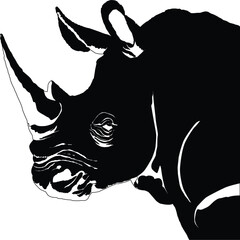 Rhinoceros head drawing vector illustration eps 10