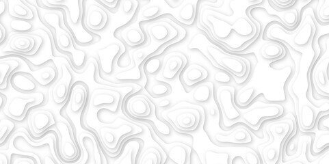  Abstract geometric layered curve line white background. 3d white papercut topography relief. Cover layout template. paper cut topography soft background banner texture. light liquid wave illustration