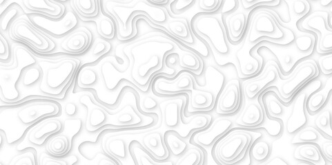  Abstract geometric layered curve line white background. 3d white papercut topography relief. Cover layout template. paper cut topography soft background banner texture. light liquid wave illustration