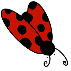 Obraz premium ladybird illustration