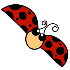 ladybug on white background