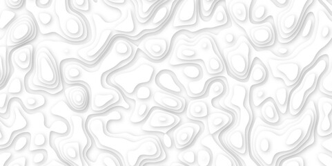  Abstract geometric layered curve line white background. 3d white papercut topography relief. Cover layout template. paper cut topography soft background banner texture. light liquid wave illustration