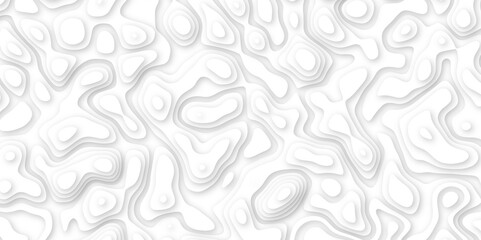 3d render, abstract white paper background. Paper cut vector art background banner texture. multi layer cutout geometric pattern on vector, Abstract soft white background with waves.	