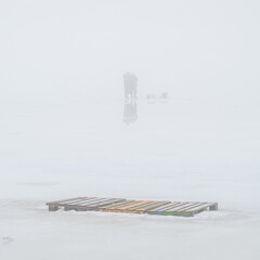 Cold and fog in a winter park