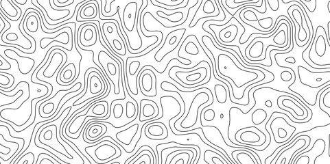 Abstract white topography vector background. Topographic map. Geographic mountain relief. counter map wavy line paper textrue. grid curve line abstract vector illustration .