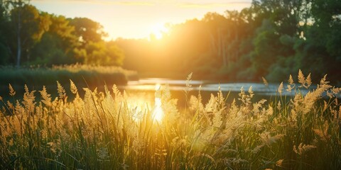 Serene landscape of reed meadow by river at sunset picturesque scene capturing tranquil beauty of nature with golden sunlight reflecting on water perfect for backgrounds depicting environments