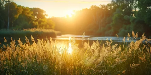 Foto op Canvas Serene landscape of reed meadow by river at sunset picturesque scene capturing tranquil beauty of nature with golden sunlight reflecting on water perfect for backgrounds depicting environments © Bussakon