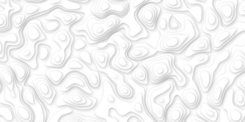  Abstract geometric layered curve line white background. 3d white papercut topography relief. Cover layout template. paper cut topography soft background banner texture. light liquid wave illustration