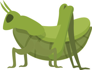 Grasshopper insect icon cartoon vector. Wildlife locust. Fly art ant
